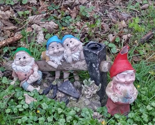 IMG_20220401_181733_HDR