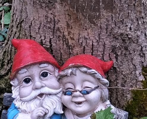 IMG_20220401_181753_HDR