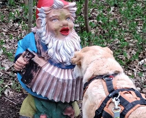 IMG_20220401_181837_HDR