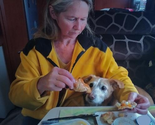 IMG_20220402_073229_HDR - Kopie