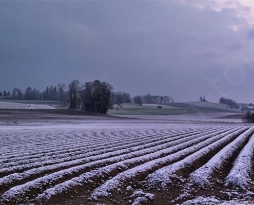 IMG_20220403_070156_HDR