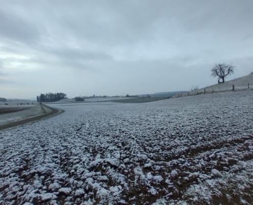 IMG_20220403_071049_HDR