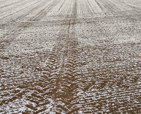 IMG_20220403_073249_HDR