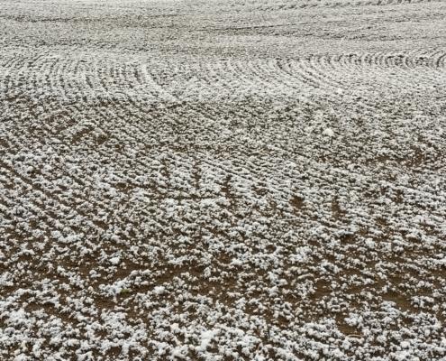 IMG_20220403_073303_HDR