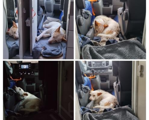 20221009_173305-COLLAGE