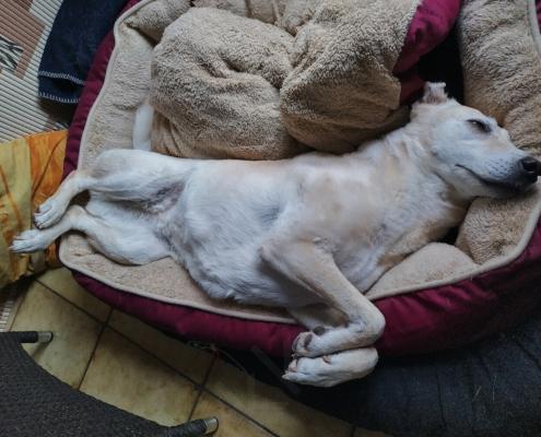 IMG_20220831_091045_HDR