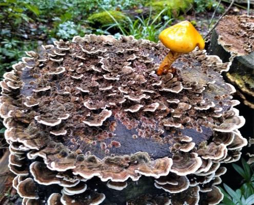 IMG_20220930_120445_HDR