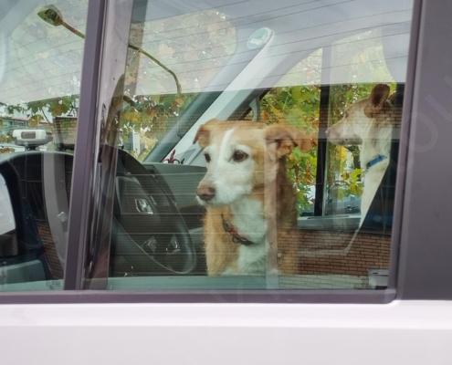 IMG_20221008_101100_HDR