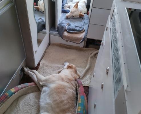 IMG_20221008_163106_HDR