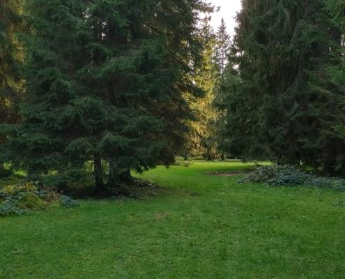 IMG_20221008_175223_HDR