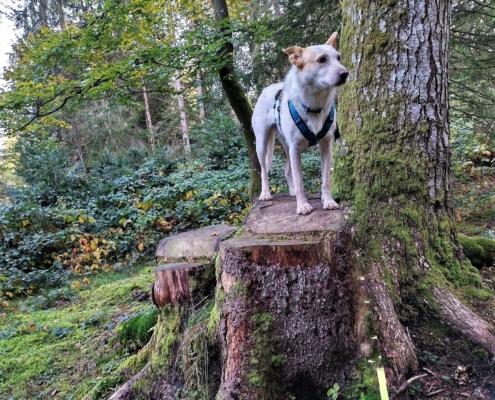 IMG_20221008_180021_HDR