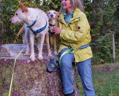 IMG_20221008_180722_HDR - Kopie