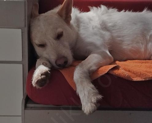 IMG_20221008_195752_HDR