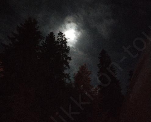 IMG_20221009_015130_HDR