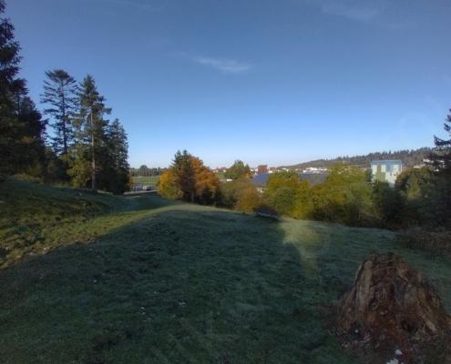 IMG_20221009_094138_HDR