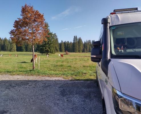 IMG_20221009_100342_HDR