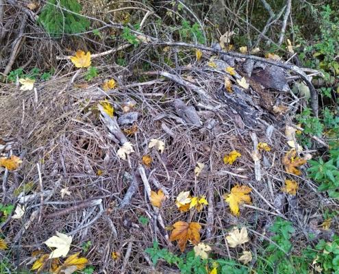 IMG_20221009_103240_HDR