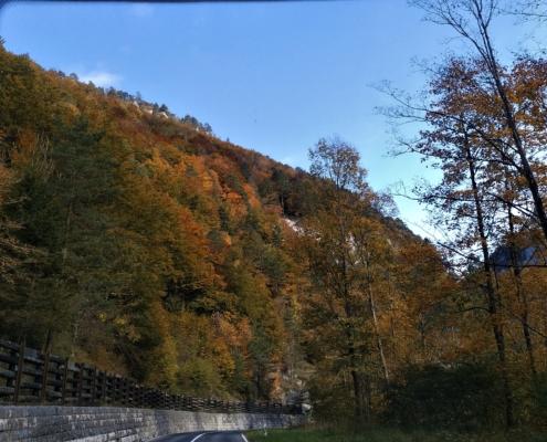 IMG_20221009_114446_HDR