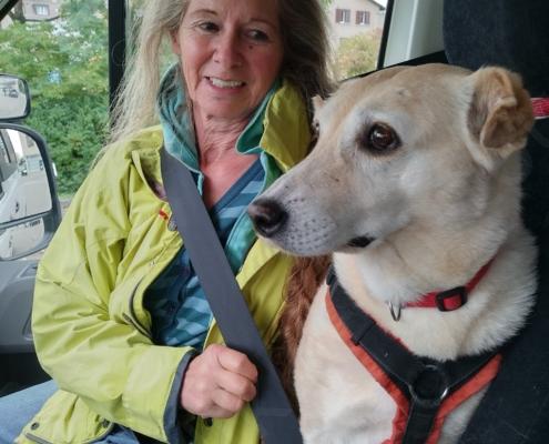 IMG_20221009_143503_HDR