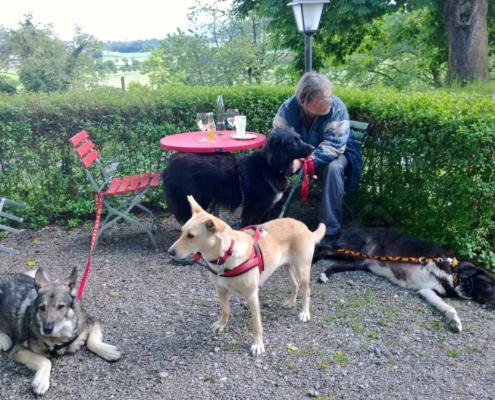 WP_20140528_17_40_43_Pro (2)