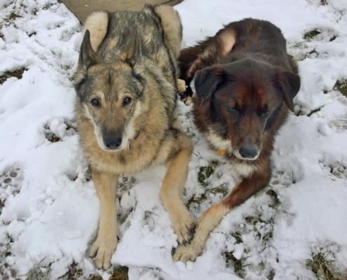 WP_20150125_12_40_36_Pro