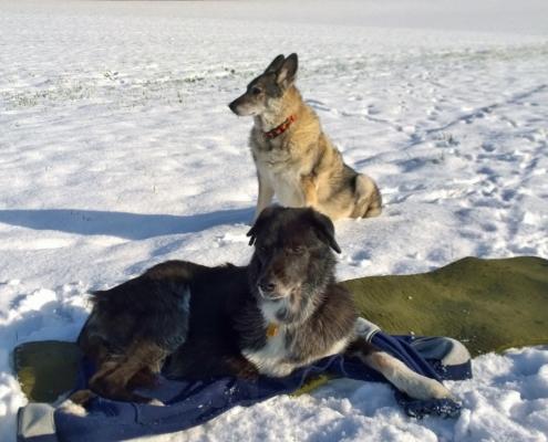 WP_20160121_12_19_21_Pro