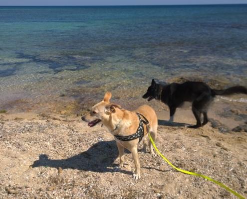 WP_20160704_16_13_41_Pro