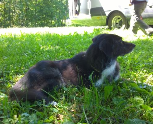 WP_20160709_14_41_07_Pro