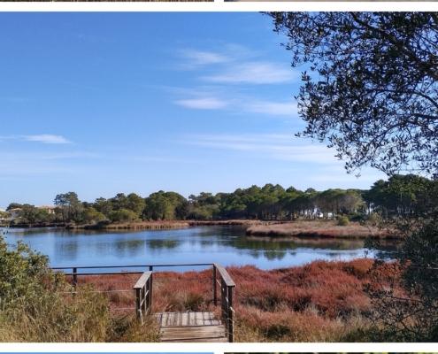 20221114_193345-COLLAGE