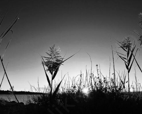 E30G3046 - Kopie - Kopie