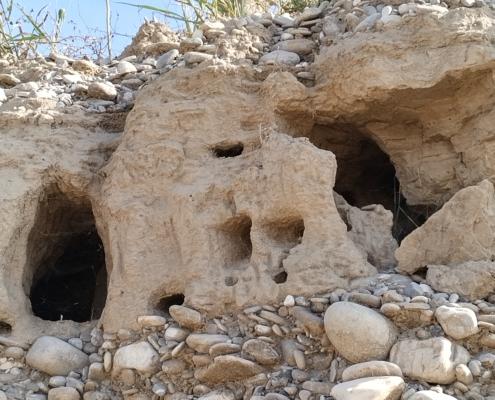 IMG_20221030_125751_HDR