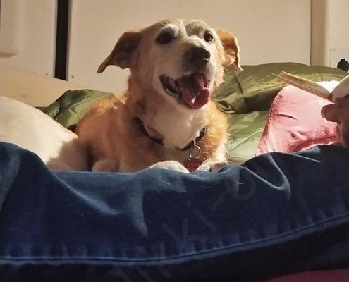 IMG_20221031_130151_HDR