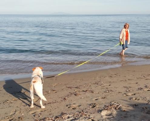 IMG_20221031_145140_HDR