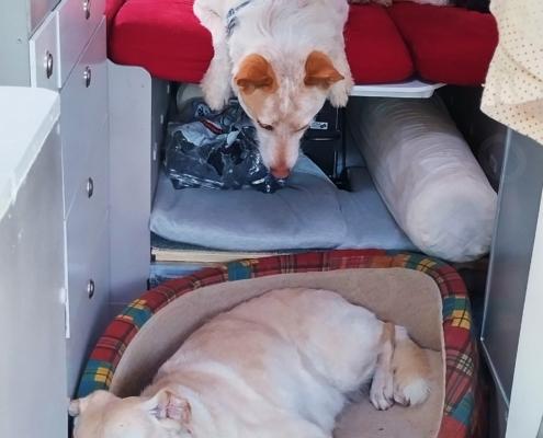 IMG_20221031_162227_HDR