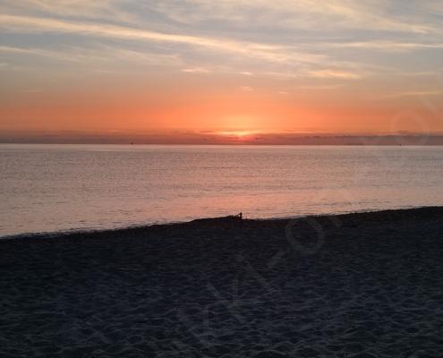 IMG_20221101_065133_HDR