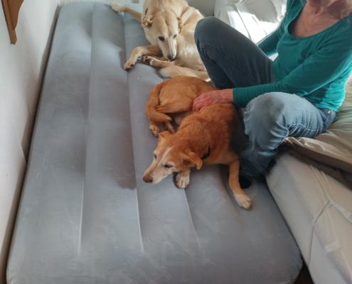 IMG_20221101_133020_HDR