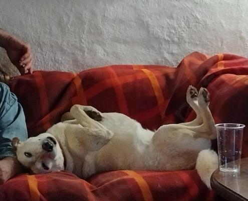 IMG_20221101_173325_HDR