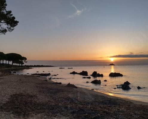 IMG_20221102_070905_HDR