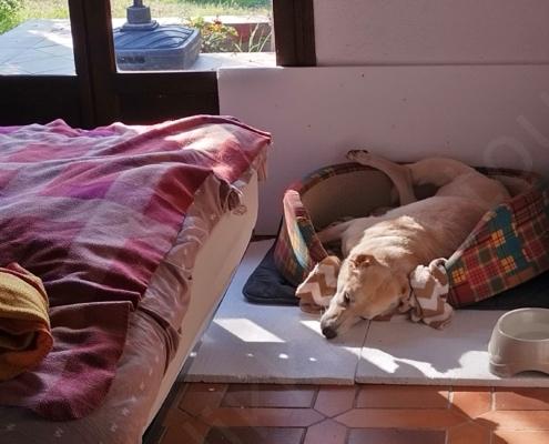 IMG_20221102_100111_HDR - Kopie