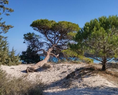 IMG_20221102_123820_HDR