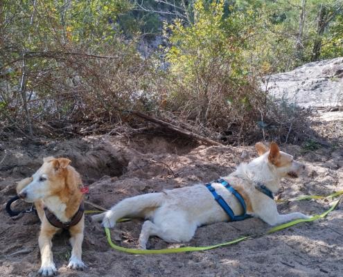 IMG_20221103_124552_HDR