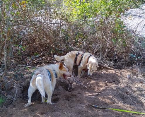 IMG_20221103_124925_HDR