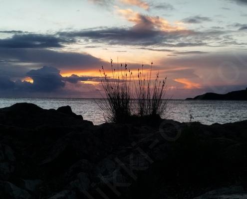 IMG_20221105_070346_HDR