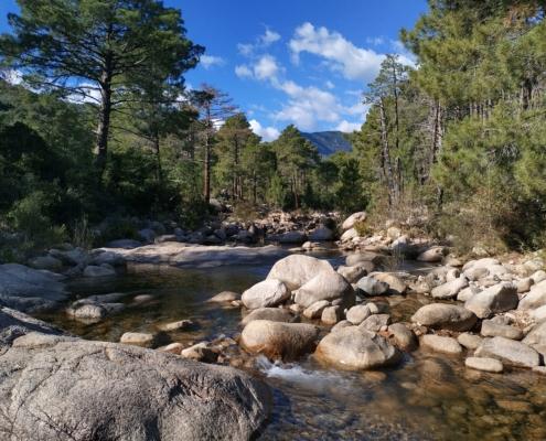 IMG_20221105_121926_HDR