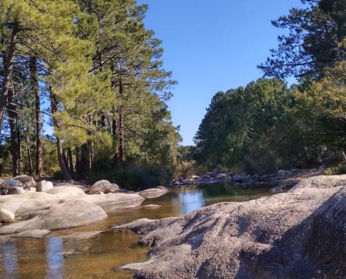 IMG_20221105_122433_HDR