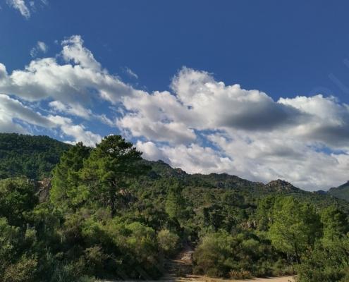 IMG_20221105_125519_HDR