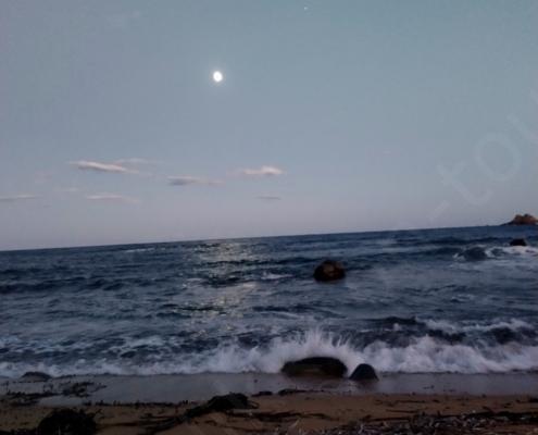 IMG_20221105_173507_HDR~2