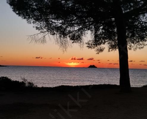 IMG_20221106_065744_HDR