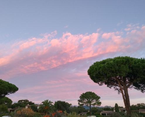 IMG_20221107_065547_HDR