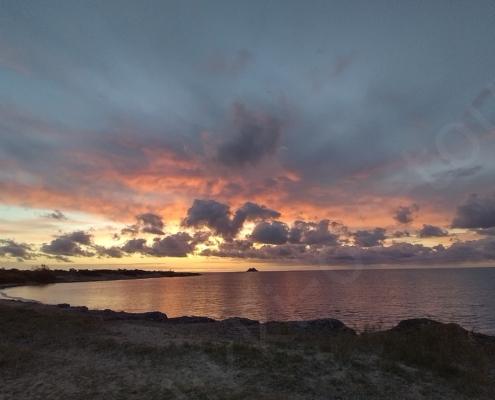 IMG_20221109_065516_HDR